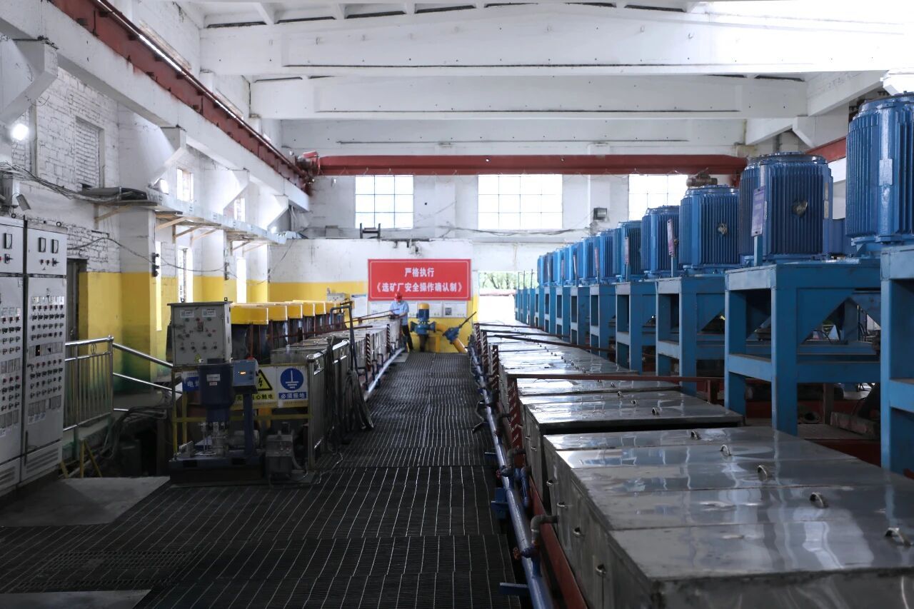 长沙矿冶院复杂共伴生资源绿色高效利用技术取得新突破