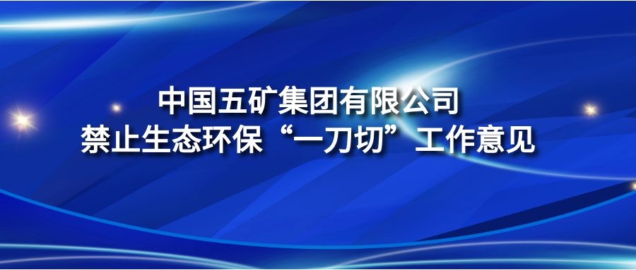 《中国五矿集团有限公司禁止生态环保“一刀切”工作意见》